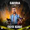 Chuck Norris - Single album lyrics, reviews, download