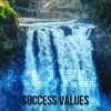 Success Values