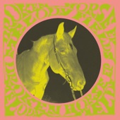 Broken Horse (EP)