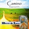 Camino (Begegnung mit Dir) artwork