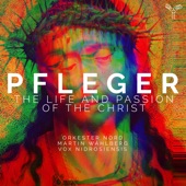 Pfleger: The Life and Passion of the Christ artwork