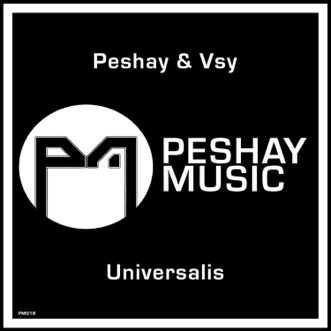 Universalis - Single by Peshay & VSY album reviews, ratings, credits