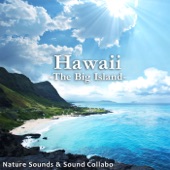 A Dawn Soundscape at Waipio Valley in Hawaii Big Island artwork