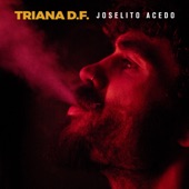 Triana D.F. (feat. Remedios Amaya) artwork