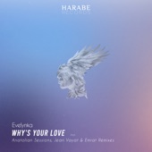 Why's Your Love (Anatolian Sessions Remix) artwork