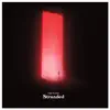 Stranded (feat. Broods, Reggie Watts & Saro) - Single album lyrics, reviews, download
