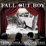 My Heart Is the Worst Kind of Weapon by Fall Out Boy