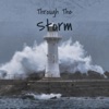 Through the Storm