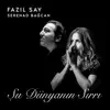 Şu Dünyanın Sırrı (feat. Serenad Bağcan) album lyrics, reviews, download