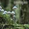 Sudden Rain album lyrics, reviews, download