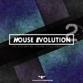 House Evolution, Vol. 2 (The History of Italian Style Production) artwork