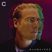 Charlie Simpson - Blameless artwork