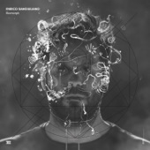 Enrico Sangiuliano - Hidden T