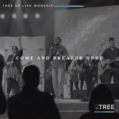 Come and Breathe Here - Single by Tree of Life Worship album reviews, ratings, credits