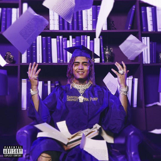Cover artwork for Too Much Ice (feat. Quavo)