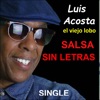 Salsa Sin Letras - Single