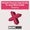 Destiny (feat. Ann-Marie Smith) - EP album lyrics, reviews, download