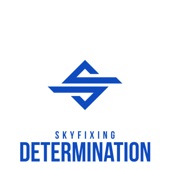 Determination artwork