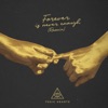 Forever Is Never Enough (Remix) - Single