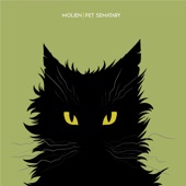 Pet Sematary (Cover) artwork