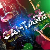 Cantare (Remix) artwork