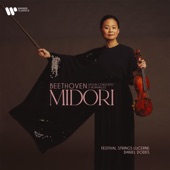 Violin Concerto, Op. 61 in D Major: I. Allegro ma non troppo artwork