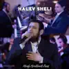 Halev Sheli (feat. Shmueli Ungar) - Single album lyrics, reviews, download
