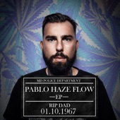 Pablo Haze Flow - EP artwork