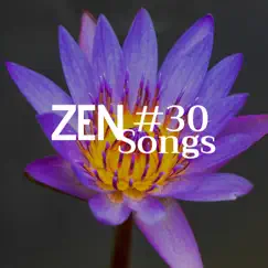 Zen #30 Songs by Zen Meditation Orchestra album reviews, ratings, credits