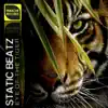 Eye of the Tiger (feat. Survivor) - Single album lyrics, reviews, download