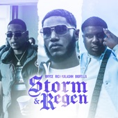 Storm & Regen artwork
