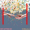 Not Letting Go - Single