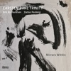 Carsten Dahl Experience - Falling Down Down