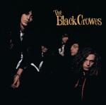 The Black Crowes - Don't Wake Me