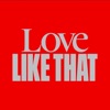 Love Like That (feat. Dani Poppitt) - Single
