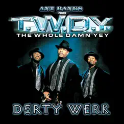 Derty Werk by T.W.D.Y. album reviews, ratings, credits