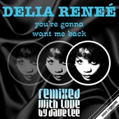 You're Gonna Want Me Back (Dave Lee Disco Blend) artwork