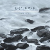 Immerse artwork