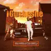 Igusheshe (feat. Dj Christy, Sdudla NoMa1000, Twiist & Aries Rose) - Single album lyrics, reviews, download