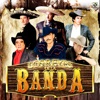 Mi Enemigo El Amor by Pancho Barraza iTunes Track 21