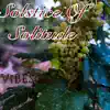 Solstice of Solitude - Single album lyrics, reviews, download
