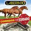 Corridos De Cuidado album lyrics, reviews, download