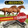 Corridos De Cuidado