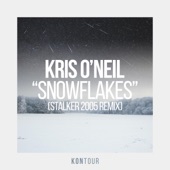 Snowflakes (Stalker 2005 Remix) artwork