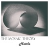 The Mosaic Theory - Spy Counterspy