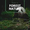 Stream & download Forest Nature Sounds For Studying