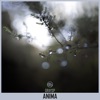 Anima - Single