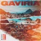 Gaviria - TN lyrics