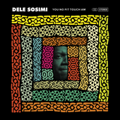 You No Fit Touch Am - Dele Sosimi