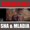 Pakao I Raj (feat. MlaDJa) [Radio Version] - Single, 2013